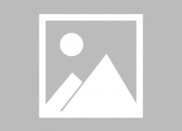 娱乐吃瓜君不会吵架,以和谐共处，笑对纷争