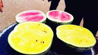 濮阳吃瓜爆料,揭秘当地热点事件背后的真相