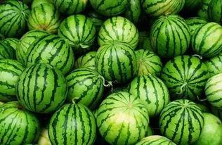 吃瓜爆料群网红,幕后故事大公开