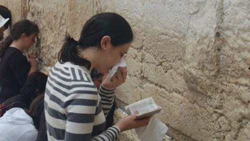 娱乐吃瓜君官司